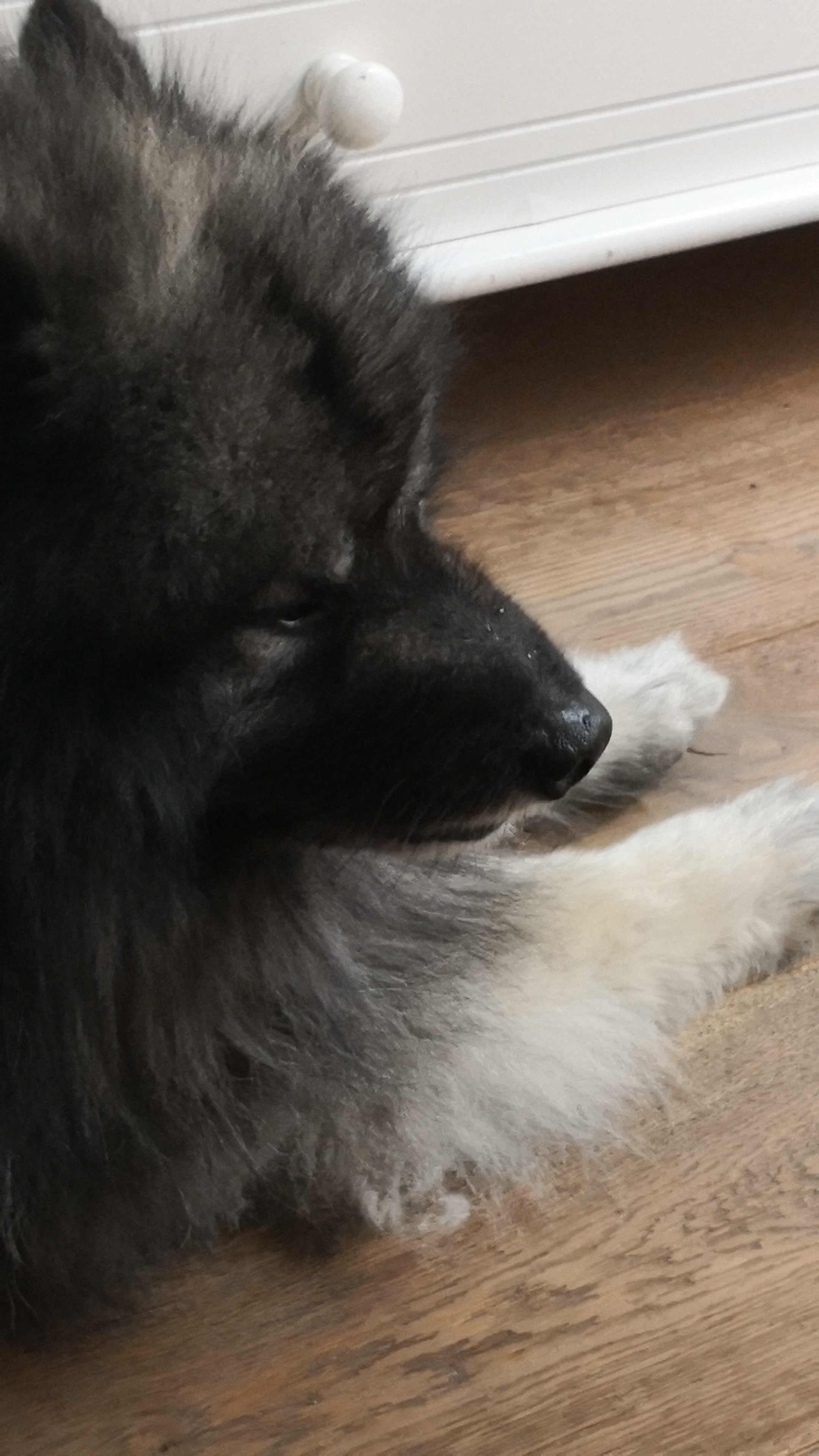 Photo n° 1 de l'avis de Claude.u fait le 04/05/2019 à 07:29
