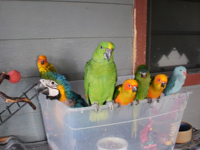 Seminole County Parrot Rescue and Sanctuary