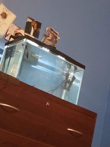 Pet Supply Store «Petland Discounts - Sutphin Blvd», reviews and photos, 147-17 Jamaica Ave, Jamaica, NY 11435, USA