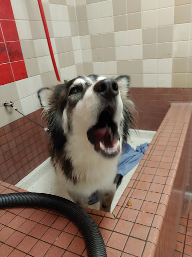 Pet Supply Store «Pet Food Express», reviews and photos, 2531 Fair Oaks Blvd, Sacramento, CA 95825, USA