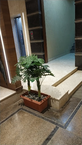 Google Maps image 19