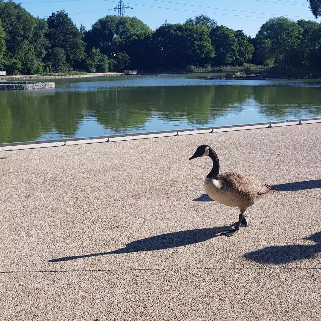 Photo n° 6 de l'avis de MATHIOT.Y fait le 29/07/2022 à 16:06