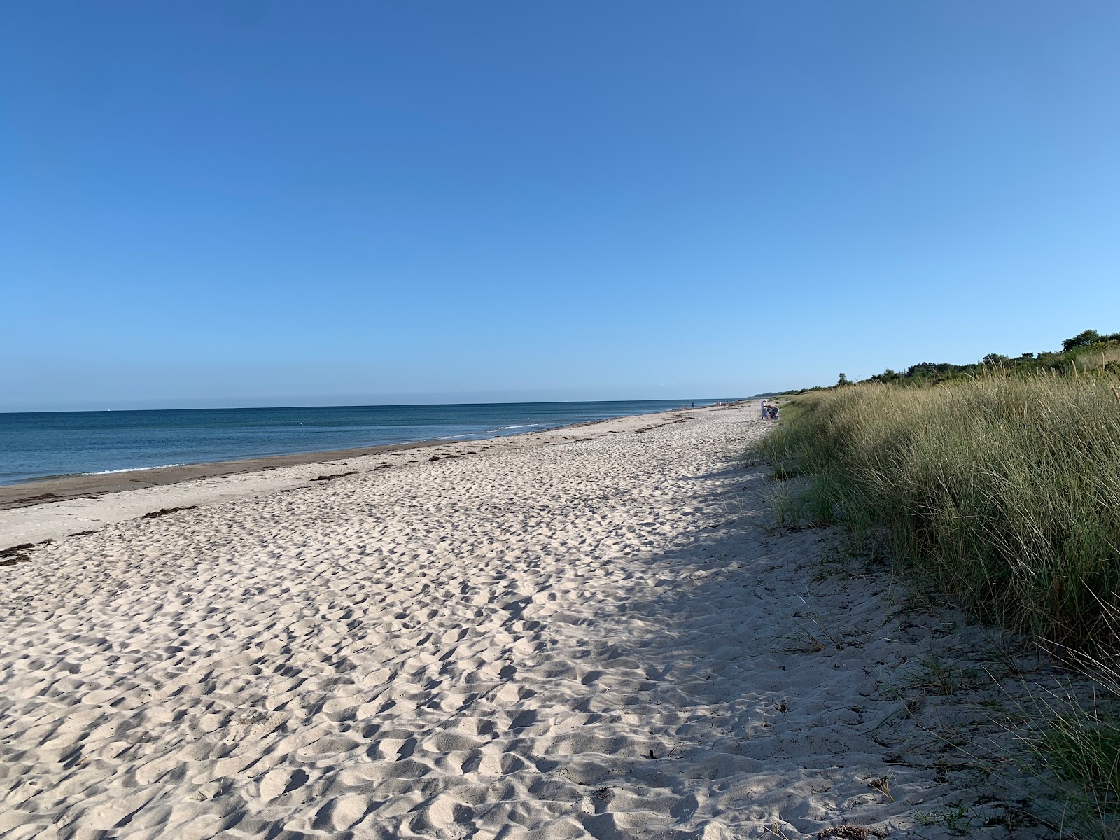 Photo de Marielyst Beach - endroit populaire parmi les connaisseurs de la détente