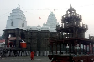 Main Pujari Nageshwar Jyotirling image