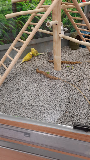 Pet Supply Store «PetSmart», reviews and photos, 1130 SE Everett Mall Way, Everett, WA 98208, USA