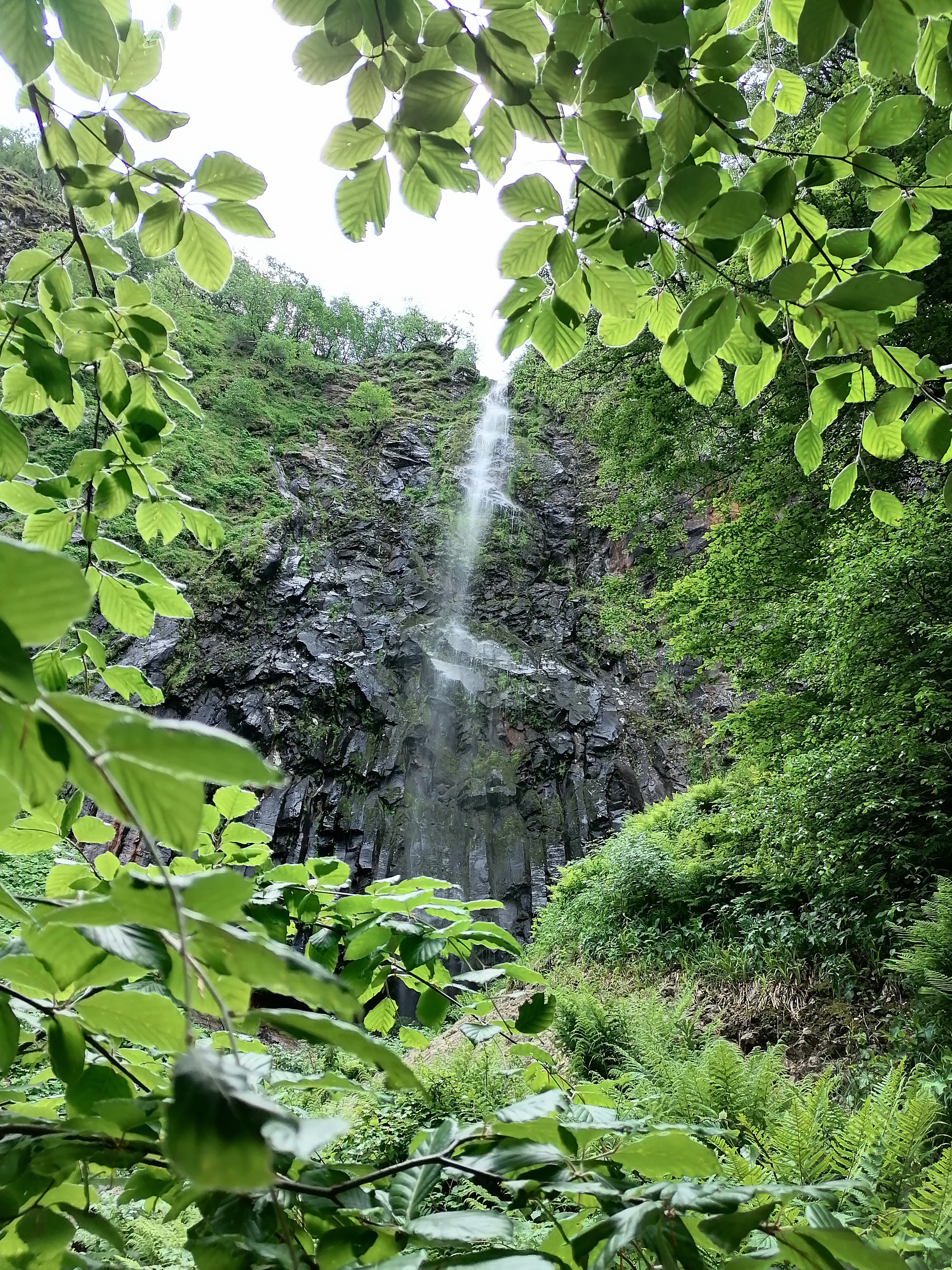 Photo n° 13 de l'avis de Toni. fait le 15/06/2023 à 19:10