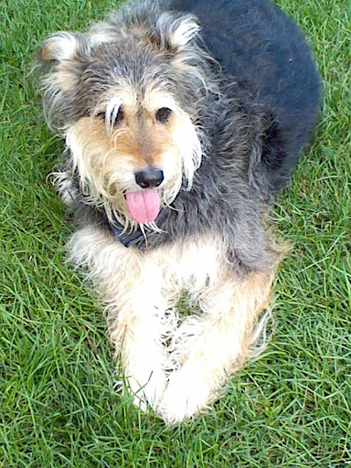 Park «Vermijo Park», reviews and photos, 2601 W Vermijo Ave, Colorado Springs, CO 80904, USA