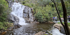 Steavenson Falls