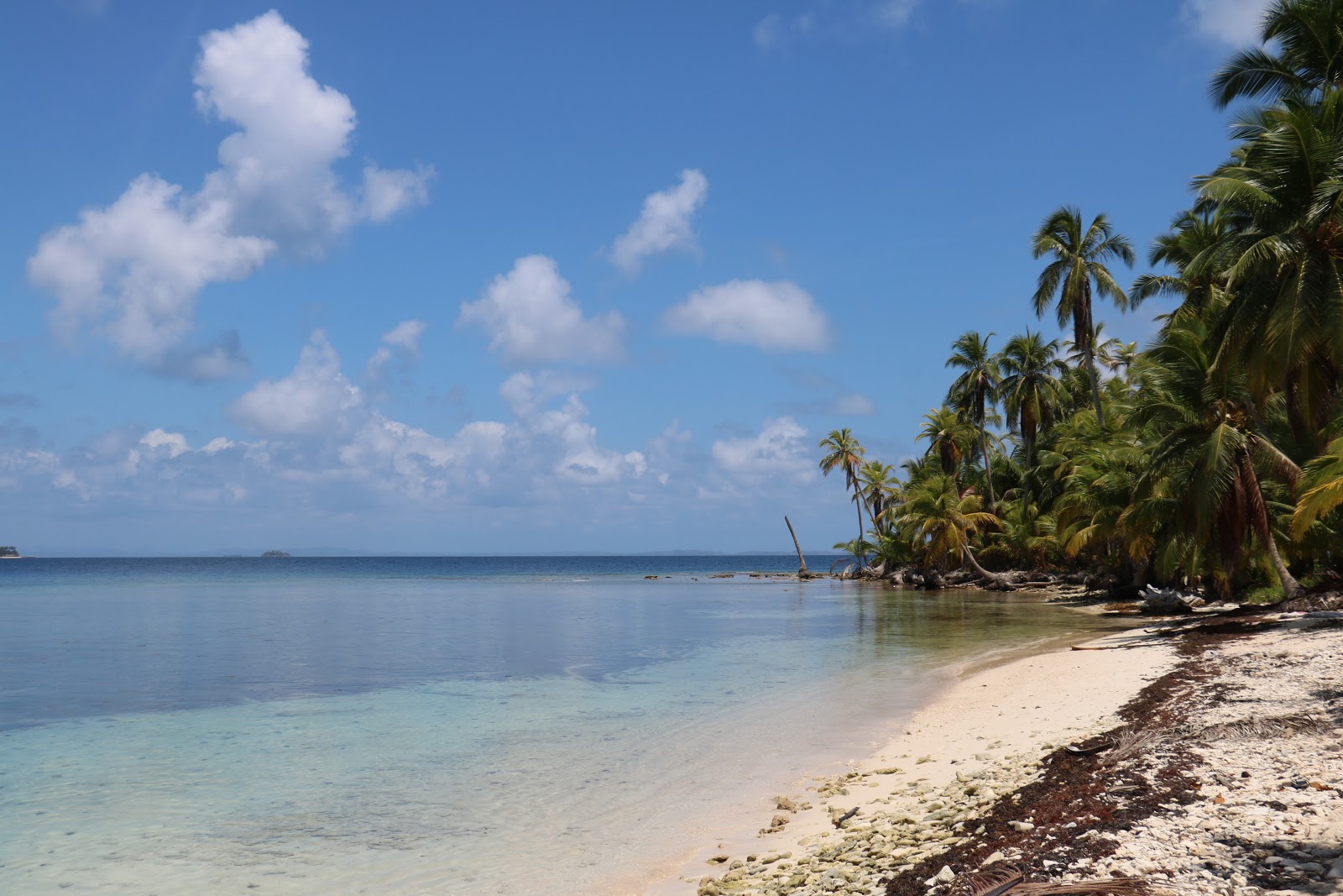 Zdjęcie Miria Island beach z poziomem czystości wysoki