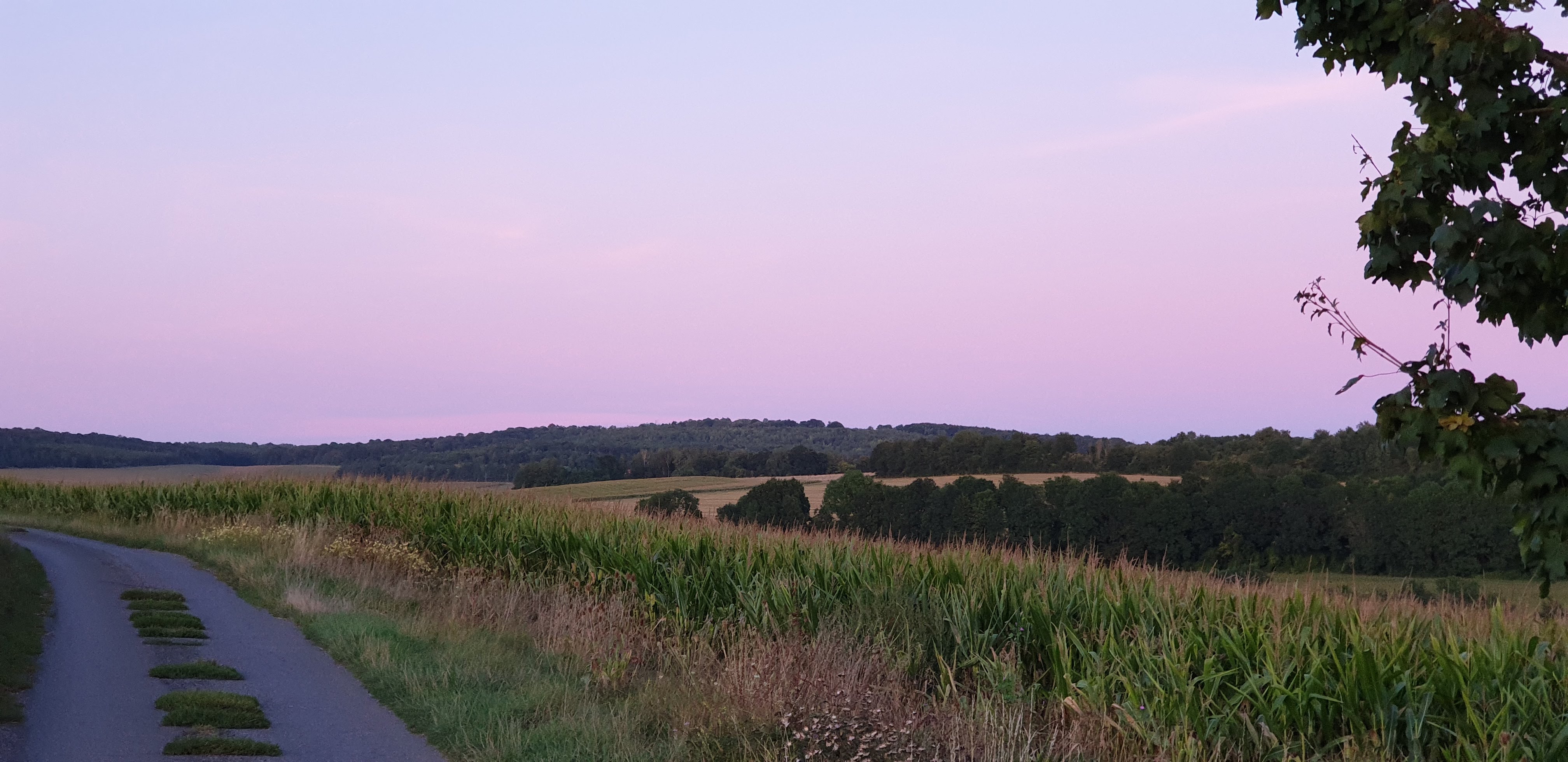 Photo n° 12 de l'avis de Gilles. fait le 28/08/2019 à 13:03