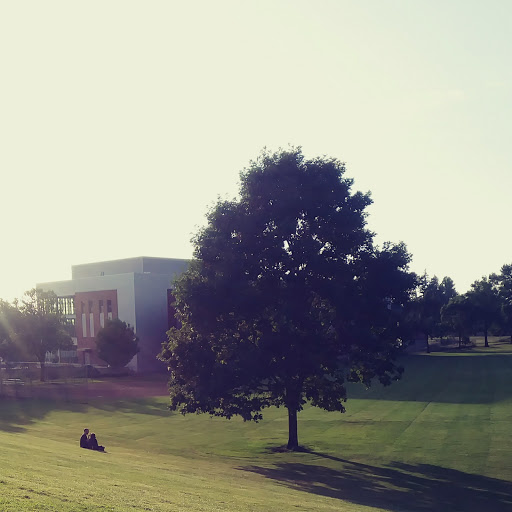 Park «Clinton City Park», reviews and photos, 5576 SE Division St, Portland, OR 97206, USA