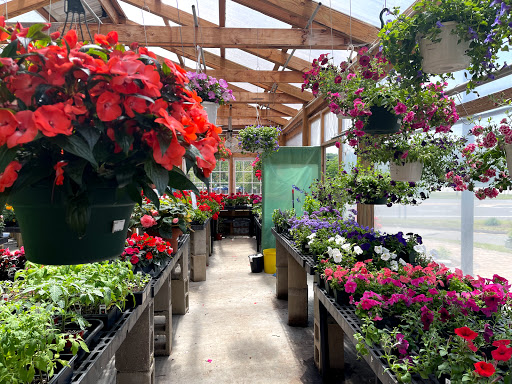 Florist «Petals & Paws», reviews and photos, 465 Albany Turnpike, Canton, CT 06019, USA