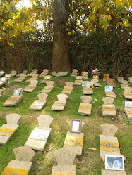 Cementerio de Mascotas Parque de Asís