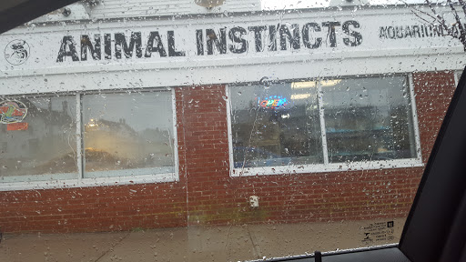 Pet Store «Animal Instincts Aquarium and Pet Center», reviews and photos, 811 Plymouth Ave, Fall River, MA 02721, USA
