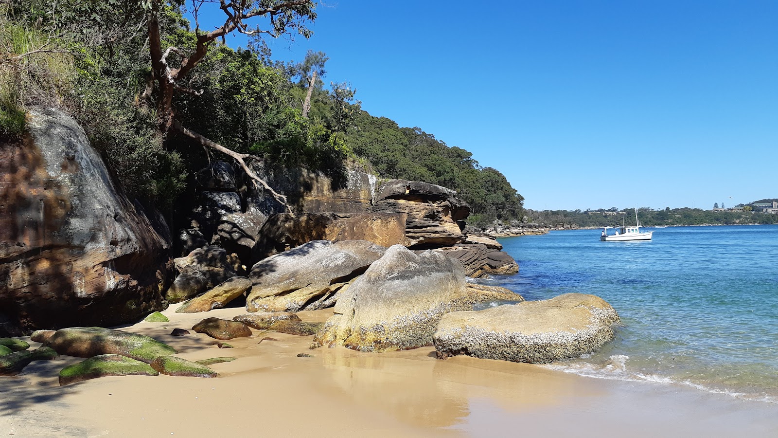 Foto av Castle Rock Beach omgiven av berg
