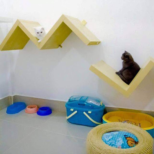 Casa De Cat Pet Hotel