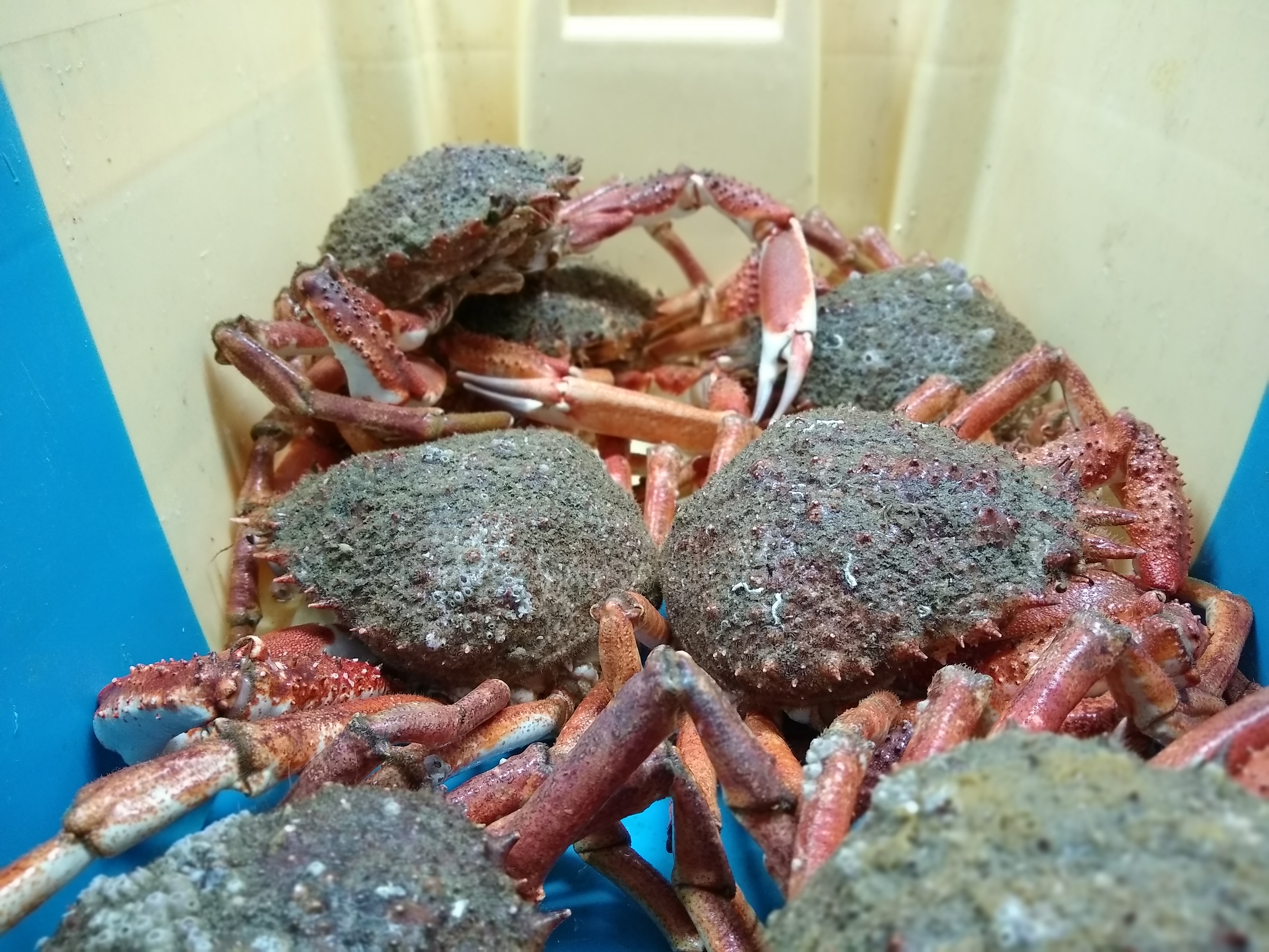 Photo n° 1 de l'avis de Grégory.u fait le 23/02/2019 à 21:02