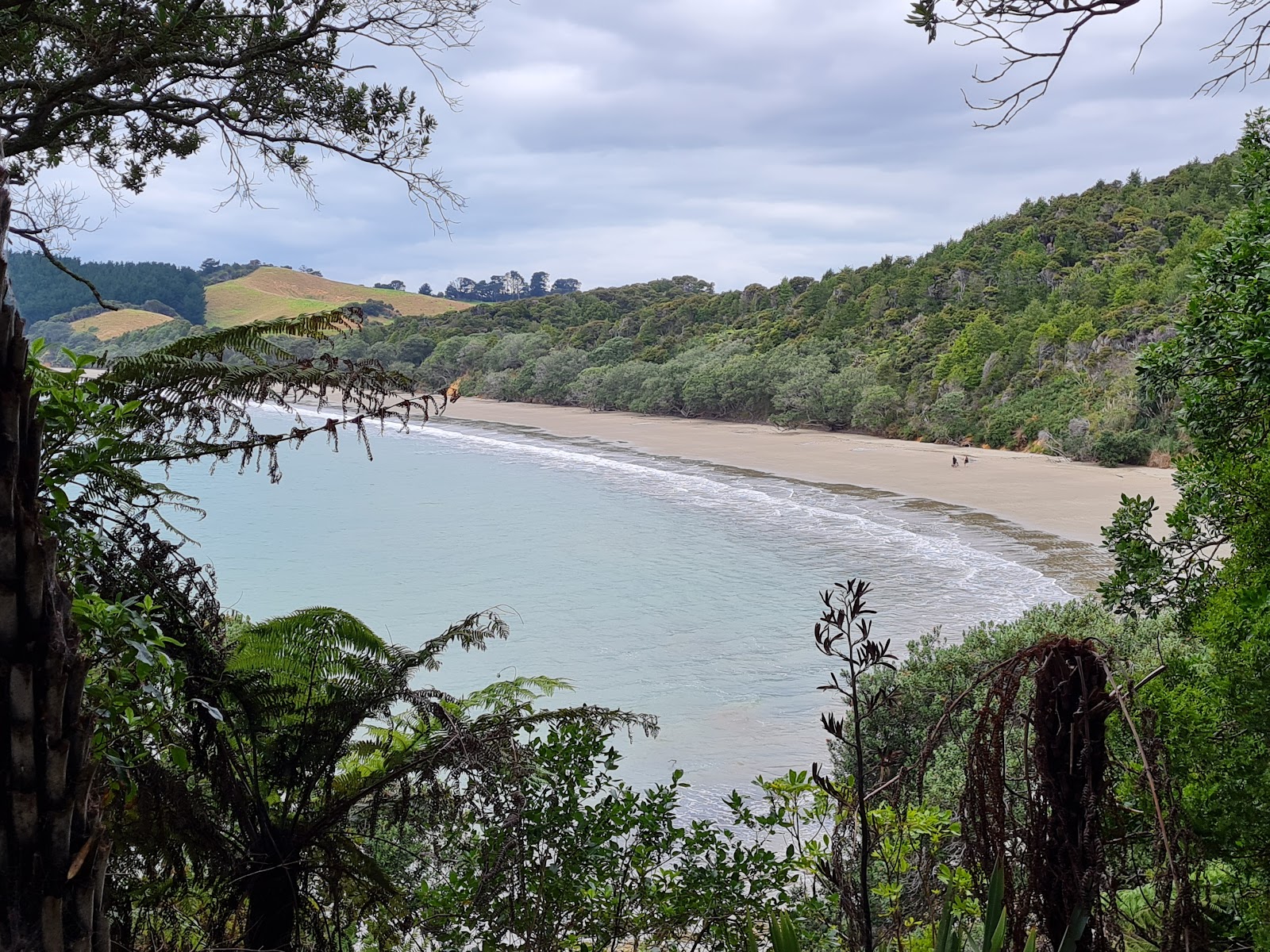 Photo de Tawhitokino Beach situé dans une zone naturelle