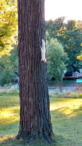 Park «Deming Heights Park», reviews and photos, 1115 St Anthony Pkwy, Minneapolis, MN 55418, USA