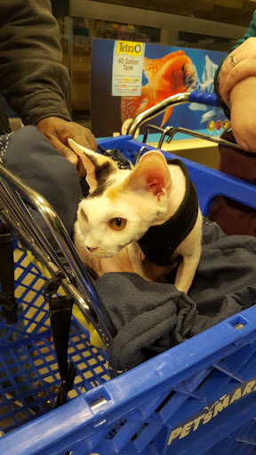 Pet Supply Store «PetSmart», reviews and photos, 1715 SE Delaware Ave, Ankeny, IA 50021, USA