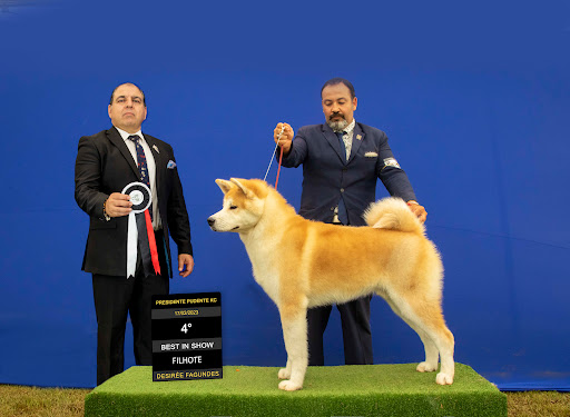 Logo da empresa - ThunderKuhl Akitas