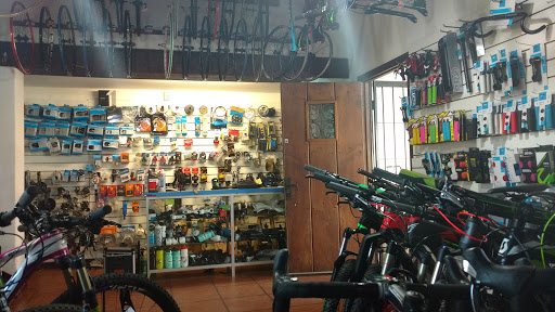 Cingolani bike shop