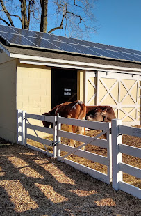 New Pond Farm Education Center - Photo 6 - Car repair in Redding, CT, Danbury