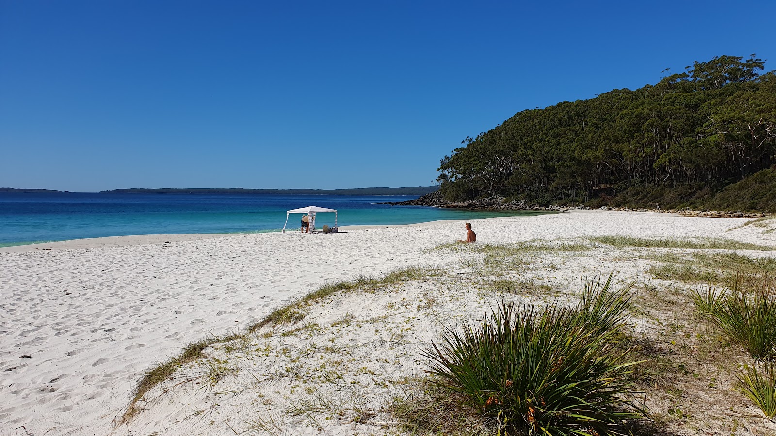Blenheim Beach'in fotoğrafı çok temiz temizlik seviyesi ile