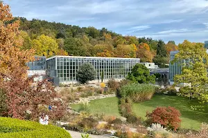 Botanical Garden image