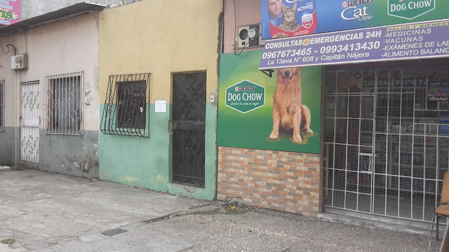 Opiniones de Dra. Baus VET. KENNEDY en Guayaquil - Veterinario