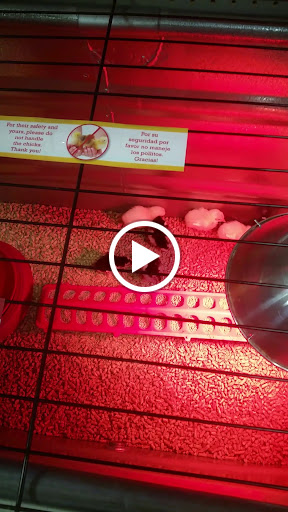 Animal Feed Store «Wilco Farm Store», reviews and photos, 3408 Hunt St NW, Gig Harbor, WA 98335, USA