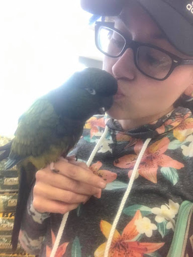 Pet Supply Store «Mellisa’s PET DEPOT», reviews and photos, 83 Faunce Corner Mall Rd, Dartmouth, MA 02747, USA