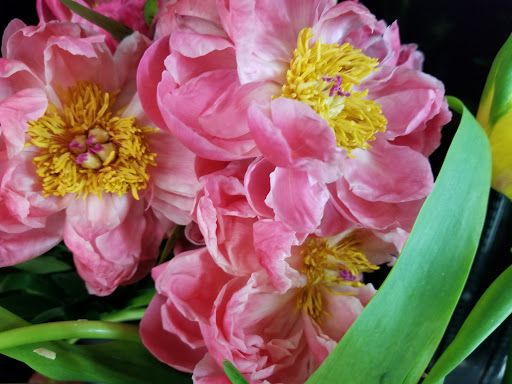 Florist «Forget Me Not Flowers and Gifts», reviews and photos, 113 E 8th St, Tyler, TX 75701, USA