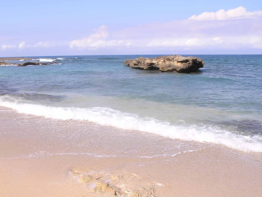 Foto di Camarioca beach con spiaggia spaziosa