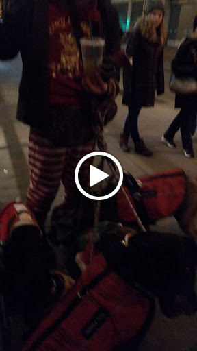 Clothing Store «Patagonia Chicago The Magnificent Mile®», reviews and photos, 48 E Walton St, Chicago, IL 60611, USA