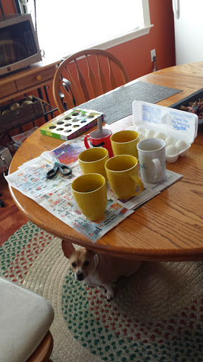 Public Golf Course «Neshaminy Valley Golf Club - OPEN to PUBLIC», reviews and photos, 440 Almshouse Rd, Richboro, PA 18954, USA