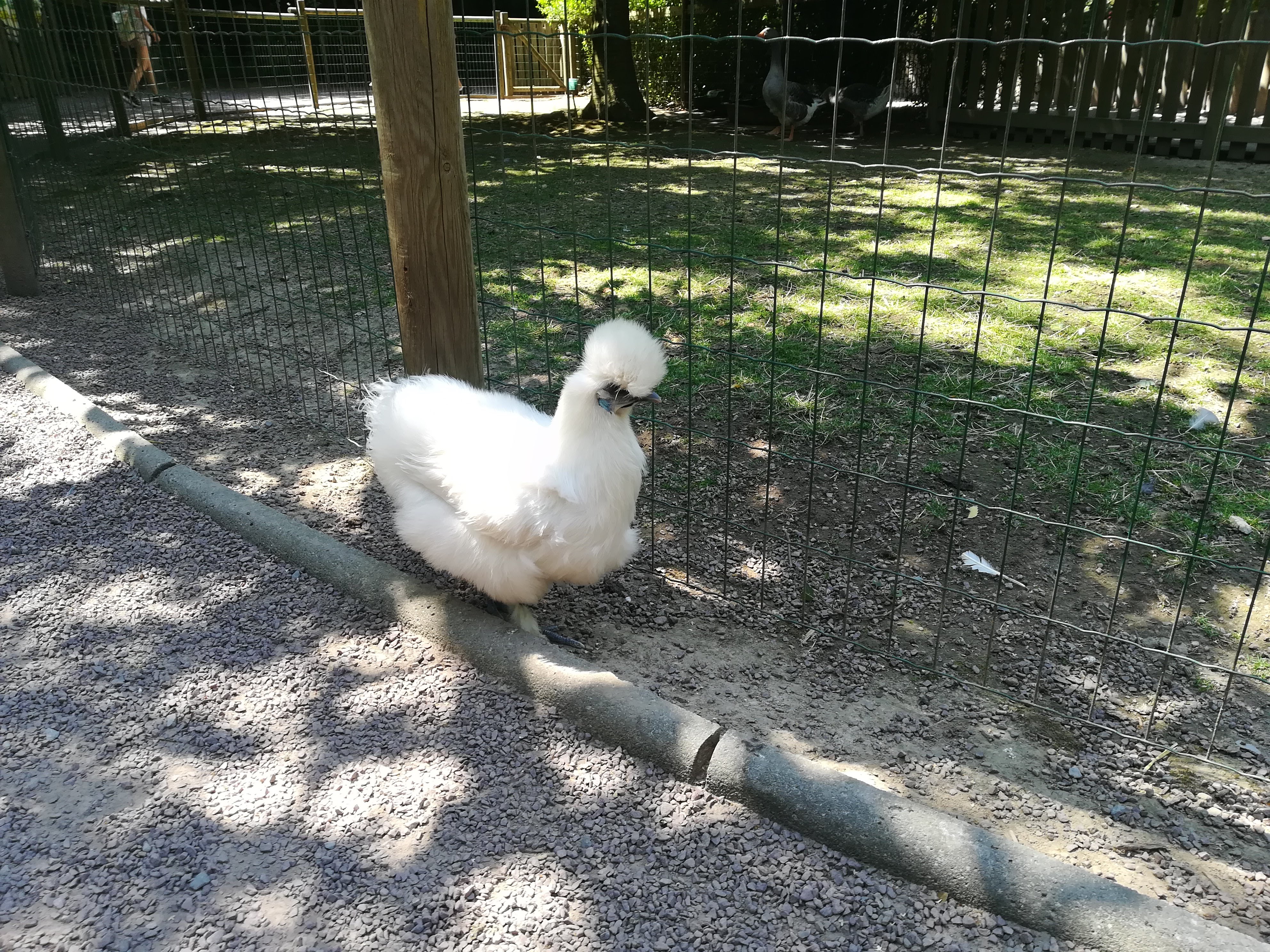 Photo n° 11 de l'avis de missbigsmile. fait le 11/07/2018 à 05:18
