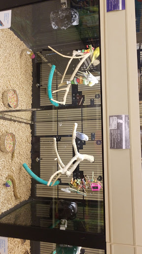 Pet Supply Store «PetSmart», reviews and photos, 901 US-1, North Brunswick Township, NJ 08902, USA