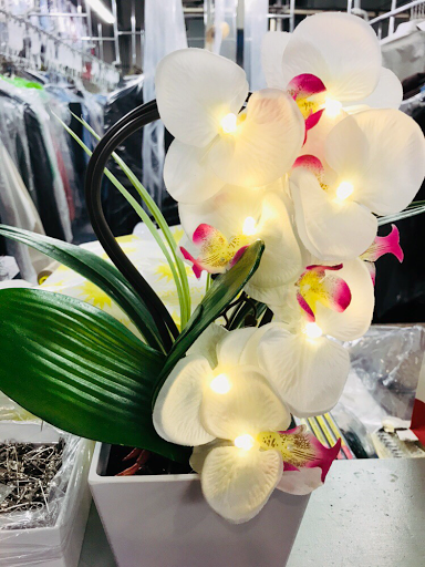 Dry Cleaner «Five Star Cleaners», reviews and photos, 2589 S Lewis Way #6E, Denver, CO 80227, USA