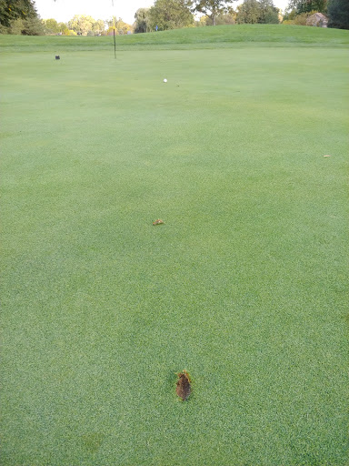 Public Golf Course «Dearborn Hills Golf Course», reviews and photos, 1300 S Telegraph Rd, Dearborn, MI 48124, USA