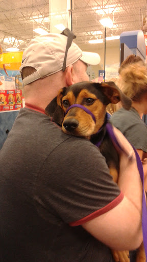 Pet Supply Store «PetSmart», reviews and photos, 8460 Tamarack Village, Woodbury, MN 55125, USA