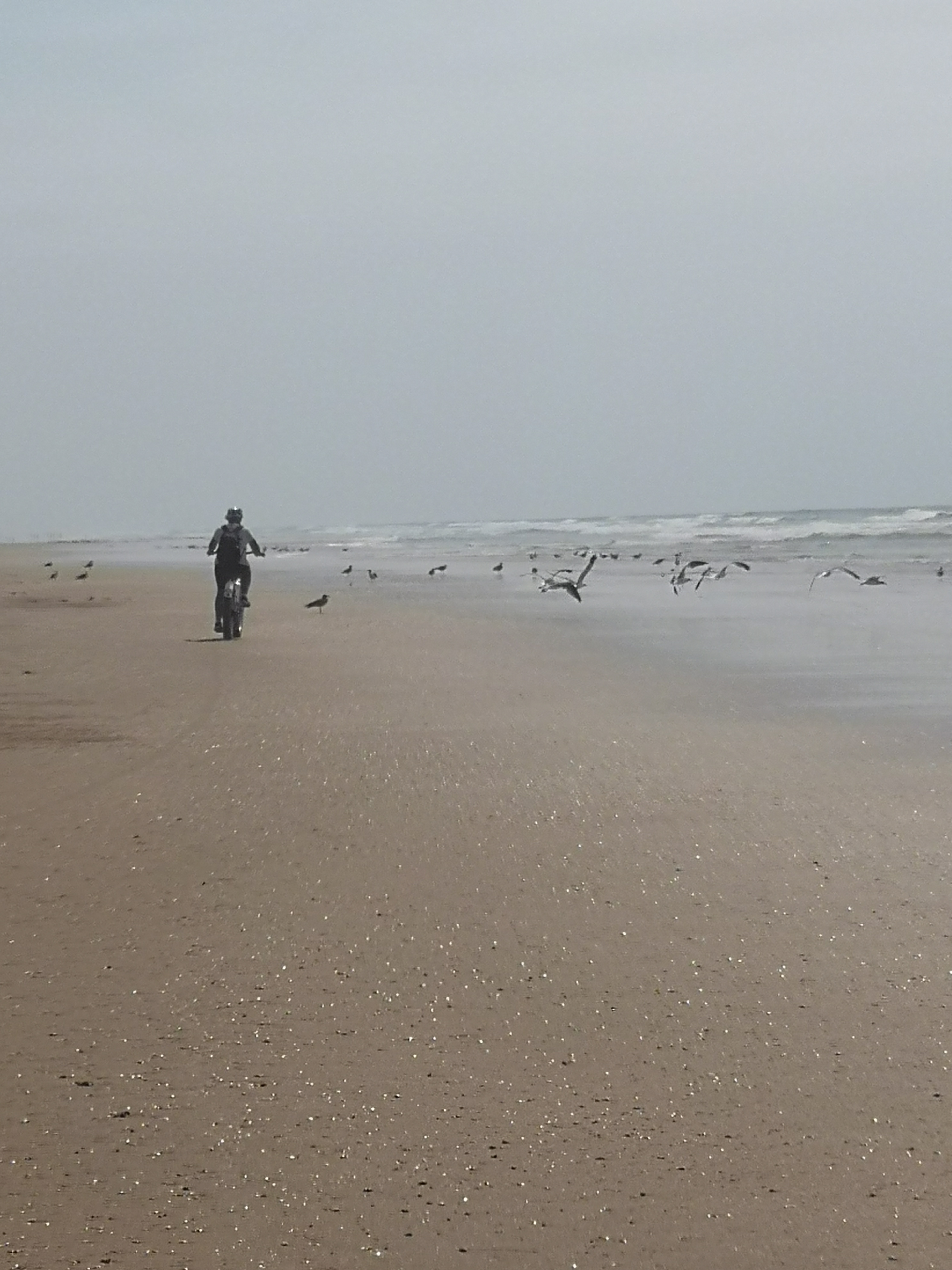 Photo n° 1 de l'avis de Marie.i fait le 31/08/2019 à 07:41
