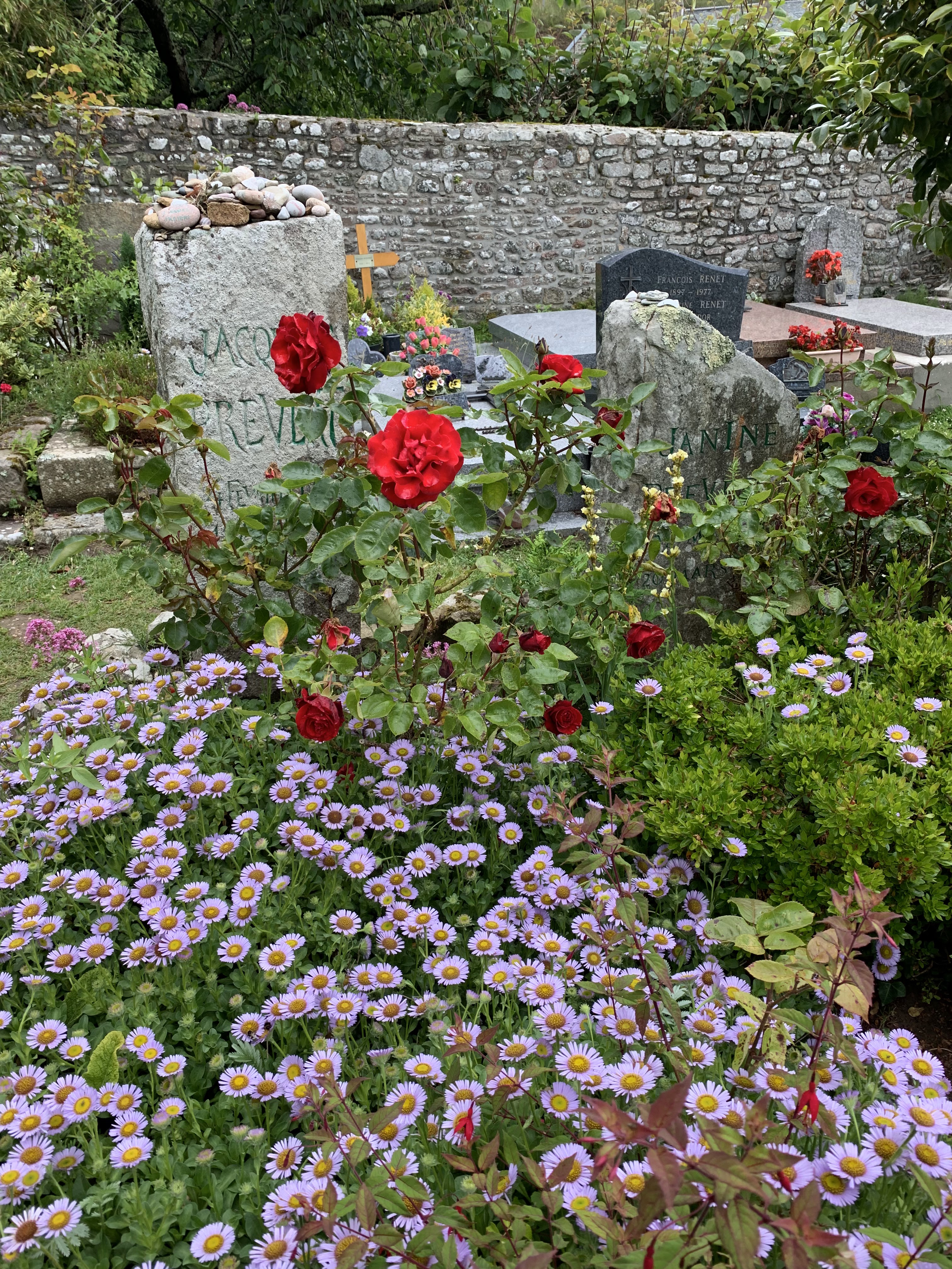 Photo n° 3 de l'avis de Didier.u fait le 04/07/2019 à 14:59