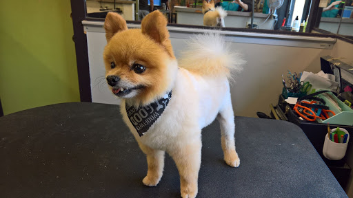 Pet Boarding Service «Idlewire Pet Care», reviews and photos, 5583 Harrison Blvd, South Ogden, UT 84403, USA