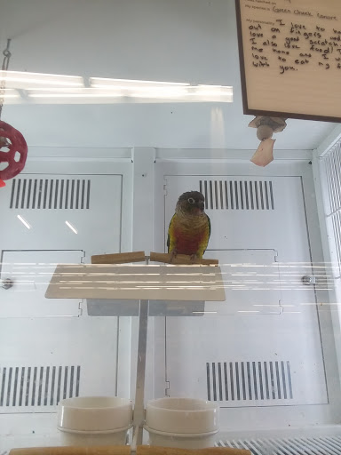 Pet Supply Store «Petco Animal Supplies», reviews and photos, 1985 N Pebble Creek Pkwy, Goodyear, AZ 85395, USA