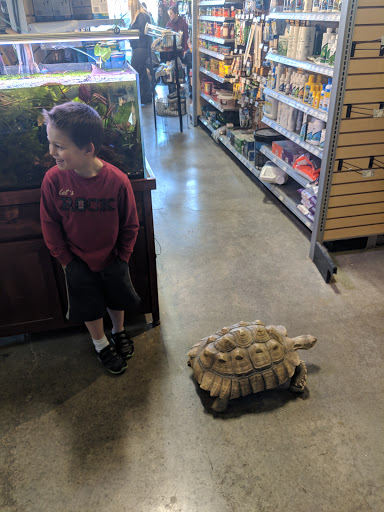 Pet Store «Critter Cabana - Wilsonville», reviews and photos, 8406 SW Main St #200, Wilsonville, OR 97070, USA
