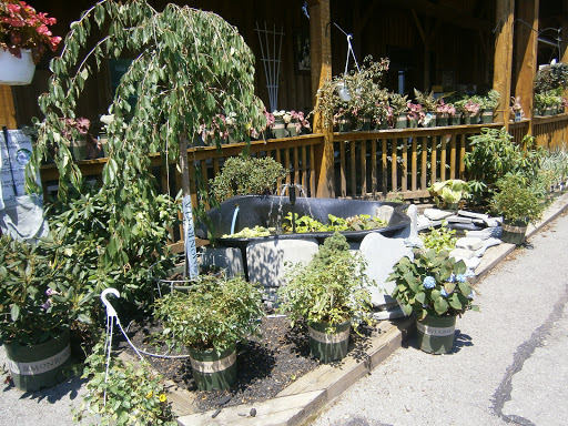 Pet Supply Store «CountryMax - Brockport», reviews and photos, 4875 Lake Rd N, Brockport, NY 14420, USA