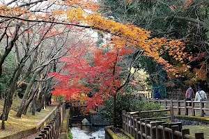 Omachi Park image