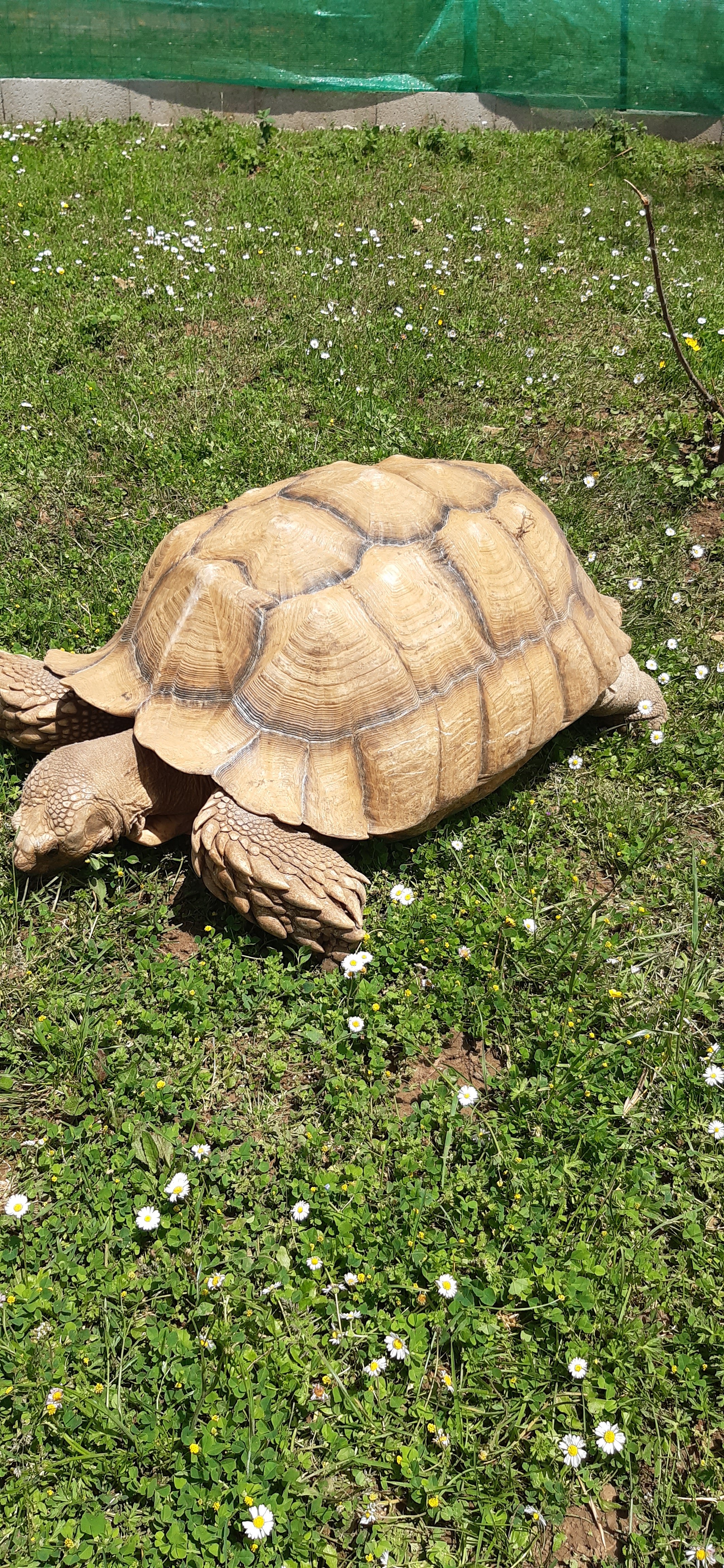 Photo n° 2 de l'avis de Antho.e fait le 27/05/2023 à 13:07