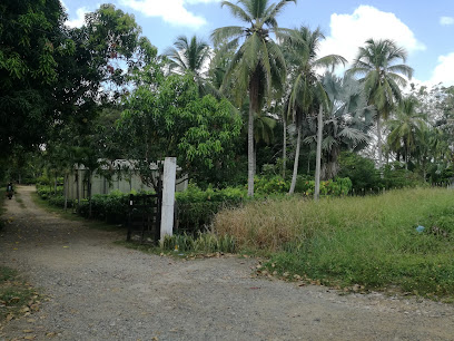 Vivero Yucatan